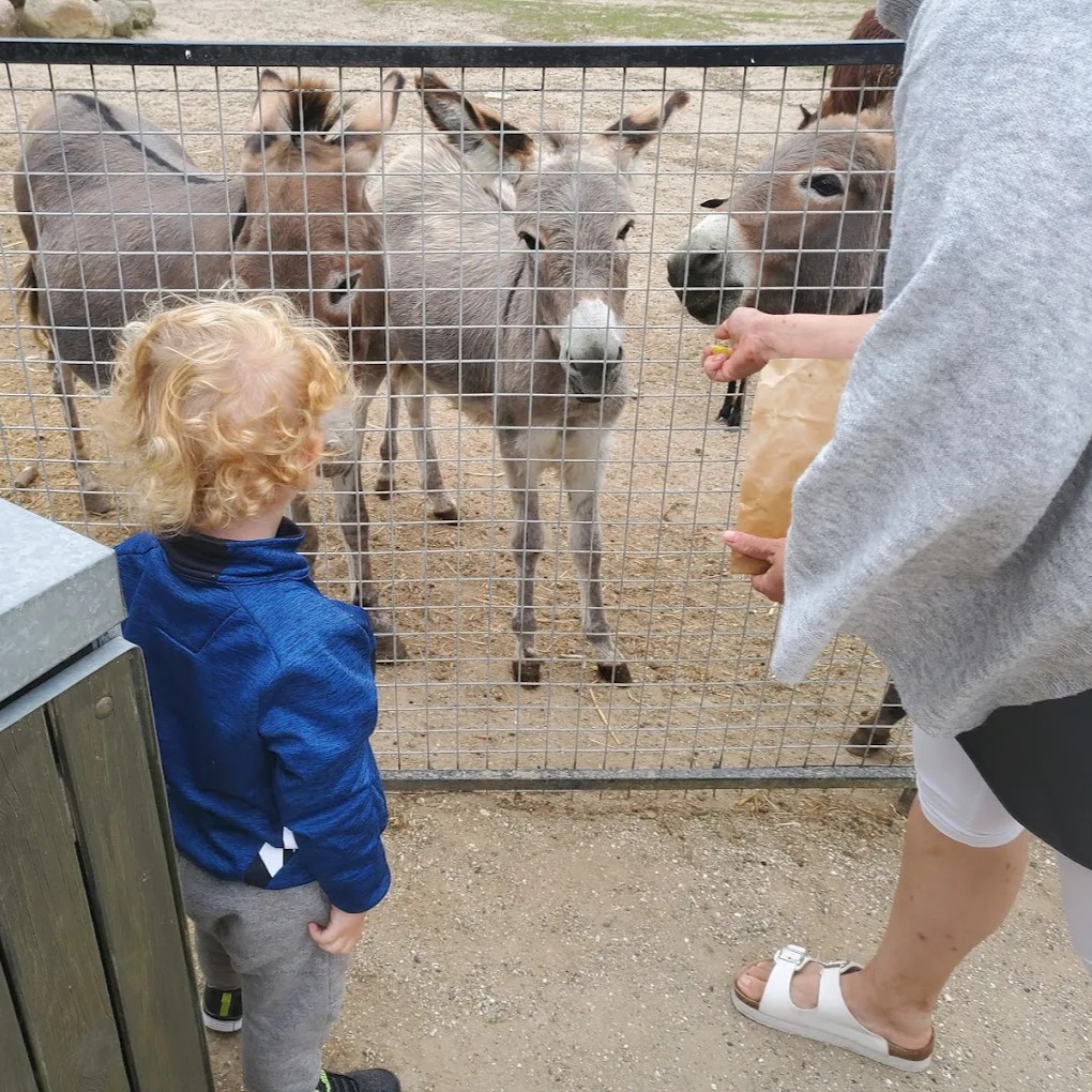 Gæstebillede fra Munkholm Zoo