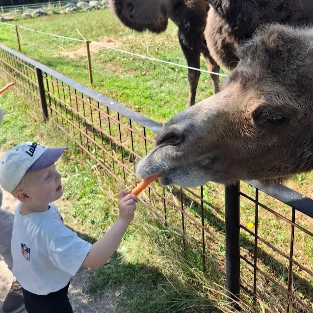 Gæstebillede fra Munkholm Zoo