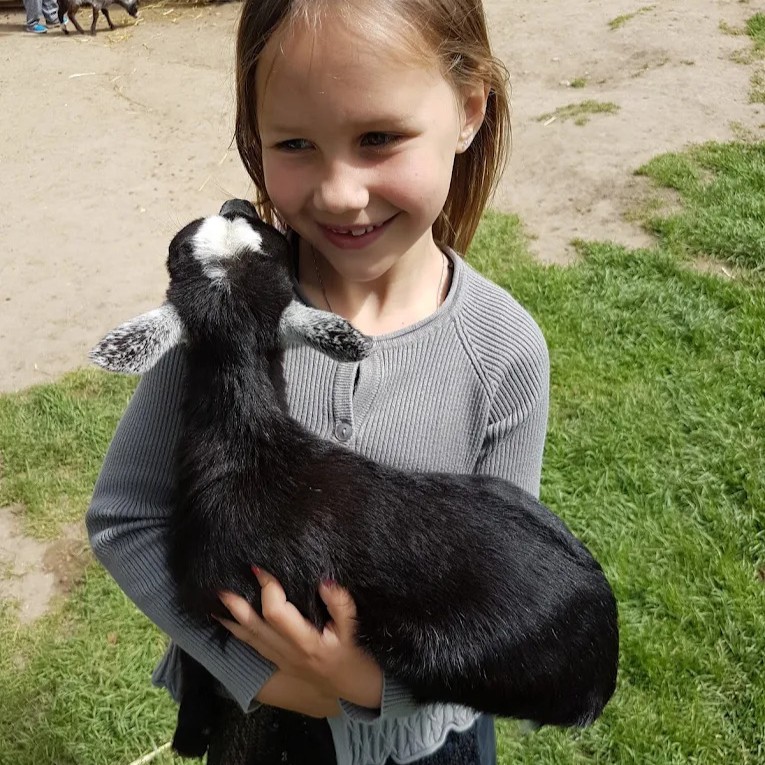 Gæstebillede fra Munkholm Zoo