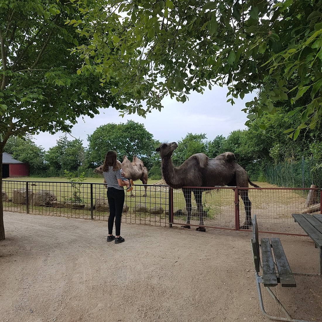 Gæstebillede fra Munkholm Zoo