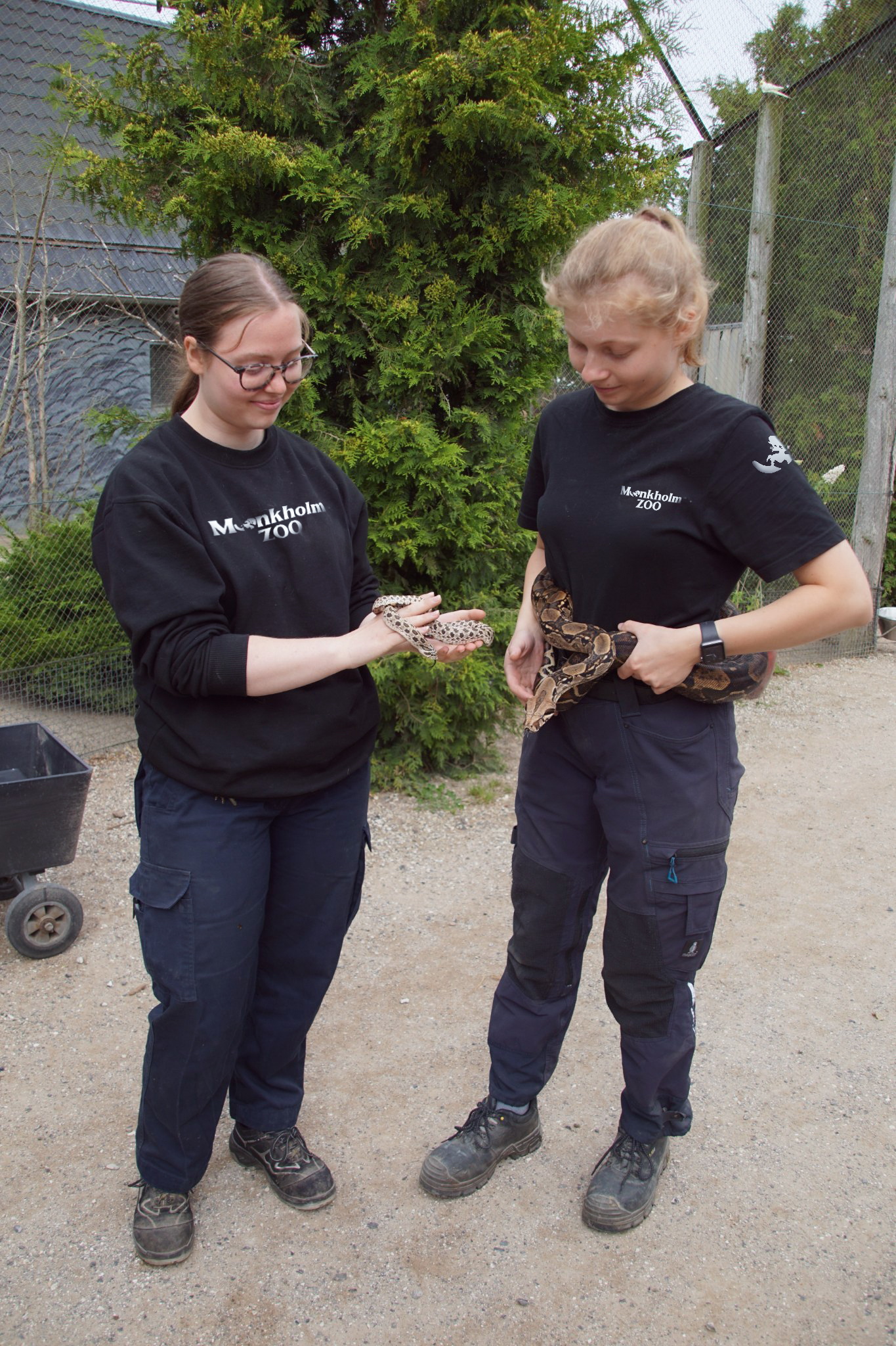 Munkholm Zoo - Ansat med slange